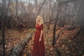 Young pretty woman in the red dress is walking in the foggy mystical forest