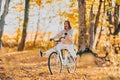 Young pretty woman riding retro-styled white bicycle in golden autumn park. Amazing funny scene of lady on nature Royalty Free Stock Photo