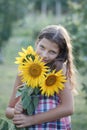 Young pretty woman on a sunflowers