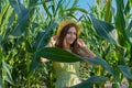 Young pretty woman in the yellow hat among the corn plants in the corn field in summer season. Bereza, Belarus. Royalty Free Stock Photo