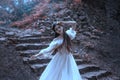 Young princess with very long hair posing against the background of an old stone staircase. The girl has a crystal crown Royalty Free Stock Photo