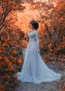 A young princess walks in golden autumn nature