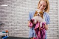 Young professional groomer loves her job connected with pets Royalty Free Stock Photo