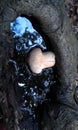 Young puffball fungi