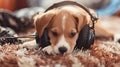 Young puppy listening to music on a head set. AI Generative Royalty Free Stock Photo