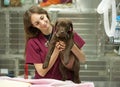 Young puppy at the vet's