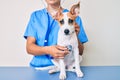 Young puppy at the veterinarian going to health checkup, professional examining dog using stethoscope