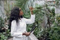 Young purposeful African American woman agronomist in lab coat, checking soil quality, looking at the sample in the test