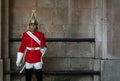 A young Queen`s Life Guard in full uniform with royal red coat and golden helmet stands at attention holding a sword at the Royal