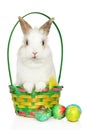 Young Rabbit in wicker basket with Easter eggs Royalty Free Stock Photo