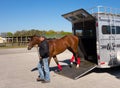 A young racehorse being offloaded at a training facility