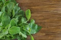 Young radish leaves on a wooden background. Useful leaves for salad. Greens for cooking. Great food. Copy space