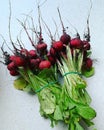 Young radishes, fresh radishes with soil collected in the garden, 2 bundles of radishes tied with a rubber band, radishes covered