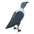 Young raven icon isometric vector. Crow bird Royalty Free Stock Photo