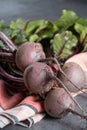 Young raw red beets roots with leaves Royalty Free Stock Photo