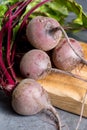 Young raw red beets roots with leaves Royalty Free Stock Photo