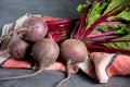 Young raw red beets roots with leaves Royalty Free Stock Photo