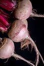 Young raw red beets roots with leaves Royalty Free Stock Photo