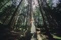 Young red hair bride in white long dress in a green forest on summer day Royalty Free Stock Photo