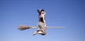 Young red-haired witch on broom flying in the sky Royalty Free Stock Photo