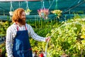 young redhaired ginger bearded man in apron working in the garden or plantation