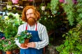 young redhaired ginger bearded man in apron working in the garden or plantation