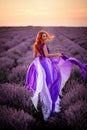 Young woman in luxurious purple dress standing in lavender field, rear view Royalty Free Stock Photo