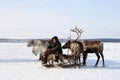 Young reindeer breeder in winter among the Yamal tundra