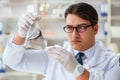 Young researcher scientist doing a water test contamination expe Royalty Free Stock Photo