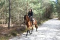 Young rider in forest