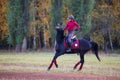 Young rider girl on bay horse in the autumn park Royalty Free Stock Photo