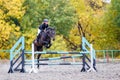 Young rider girl on bay horse jumping over barrier Royalty Free Stock Photo