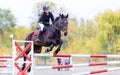 Young rider girl on bay horse jumping over barrier Royalty Free Stock Photo