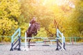 Young rider girl on bay horse jumping over barrier Royalty Free Stock Photo