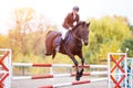 Young rider girl on bay horse jumping over barrier Royalty Free Stock Photo