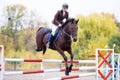 Young rider girl on bay horse jumping over barrier Royalty Free Stock Photo