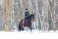 Young woman galloping on bay horse on winter field