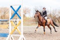 Young rider girl on horse trotting on show jumping Royalty Free Stock Photo