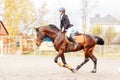 Young rider girl on horse trotting on show jumping Royalty Free Stock Photo