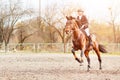 Young rider girl on horse trotting on show jumping Royalty Free Stock Photo