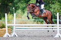 Young rider girl jumping on horse over obstacle Royalty Free Stock Photo