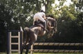 Young rider girl jumping on horse over obstacle Royalty Free Stock Photo