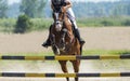 Young rider girl jumping on horse over obstacle Royalty Free Stock Photo