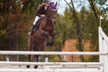 Young rider girl jumping over barier on her course Royalty Free Stock Photo