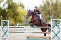 Young rider girl jumping over barier on her course Royalty Free Stock Photo