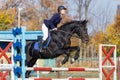 Young rider girl on horse jumping over obstacle Royalty Free Stock Photo