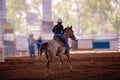 Young Rider In Hard Hat Competes In A Rodeo Event