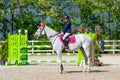 Young rider on horse show, jumping competition, trained horse for Equitation sport competition