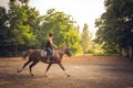 Young rider and horse train before a competition. Horse riding Royalty Free Stock Photo