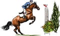 Young rider performing jump on bay horse over a hurdle on show jumping Royalty Free Stock Photo